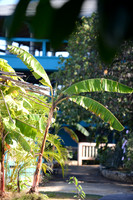 Negril Escape Club    gallery 2