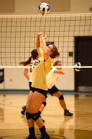 PHSC Women's Volleyball 2014